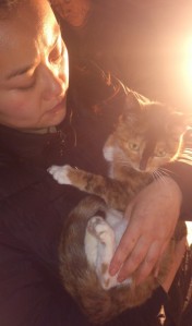 Su Jing Nan with a rescued cat