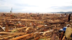 Flash flood caused partly by illegal logging near Iligan City