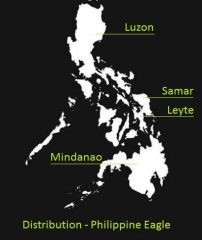 Current distribution of Philippine eagles